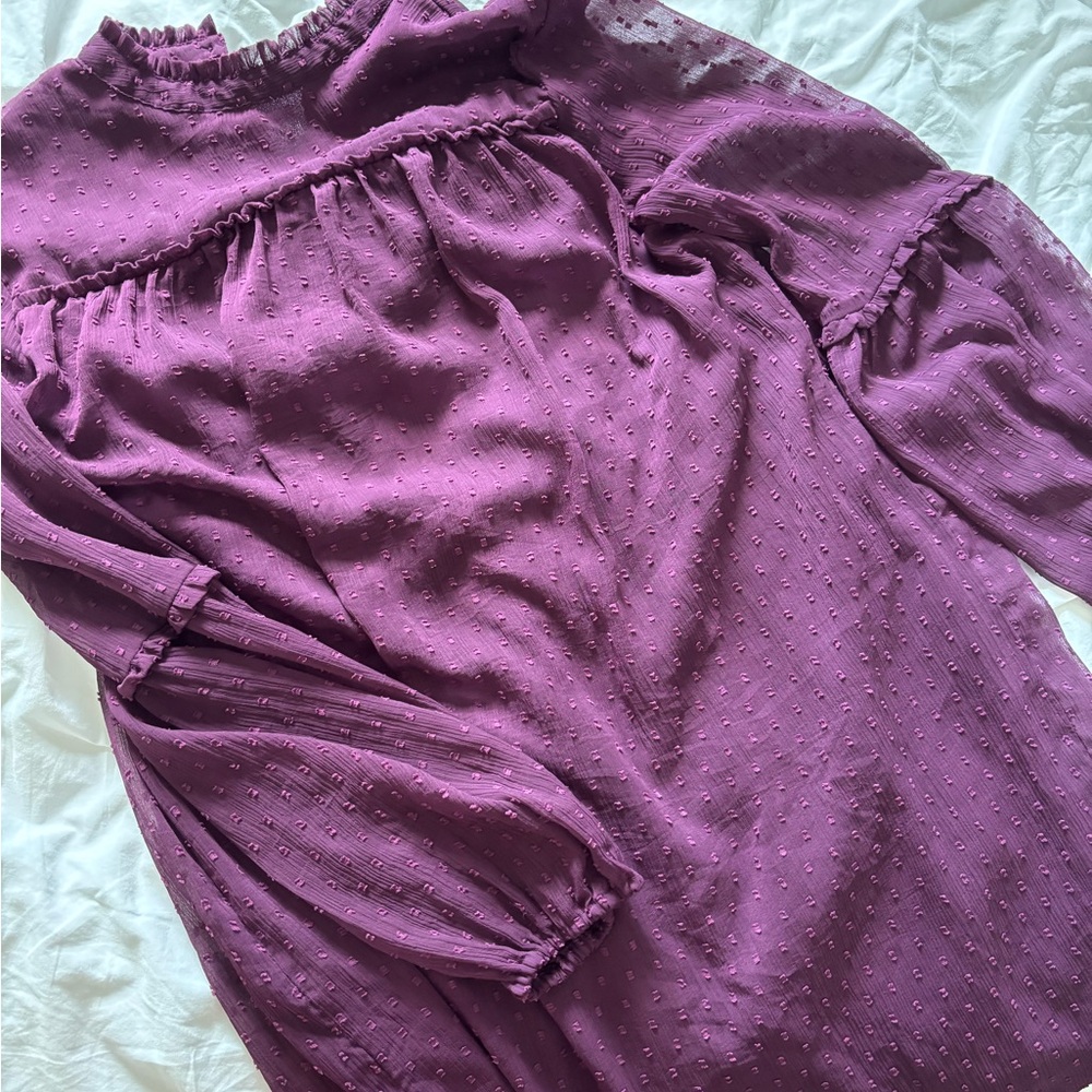 Japna Textured Plum Dress/Tunic with Sheer long sleeves and high neck